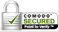 SSL Logo